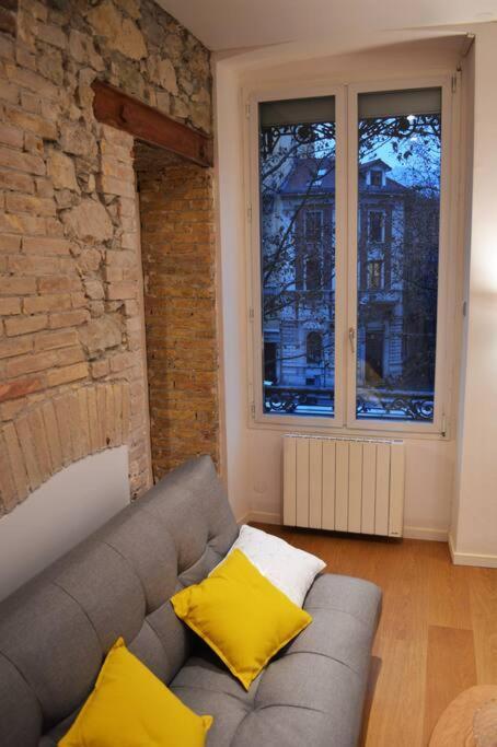 Le Jaures, Logement D'Exception Grenoble Dış mekan fotoğraf